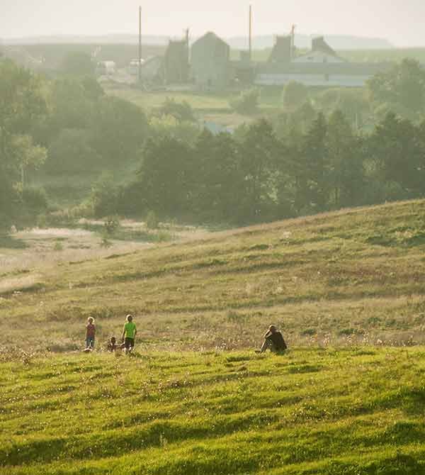 Aubrac-farm