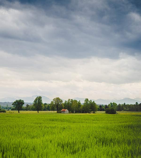 Ayrshire farm