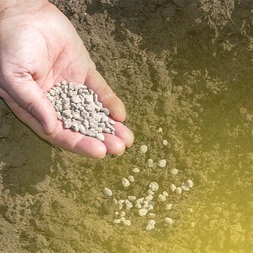 Phosphorus-Fertilizers-put-in-soil