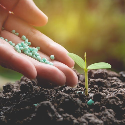 bio-fertilizer-in-hand