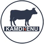 kamdhenu