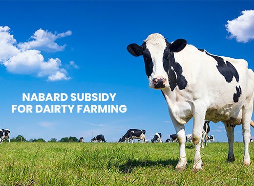 nabard-subsidy